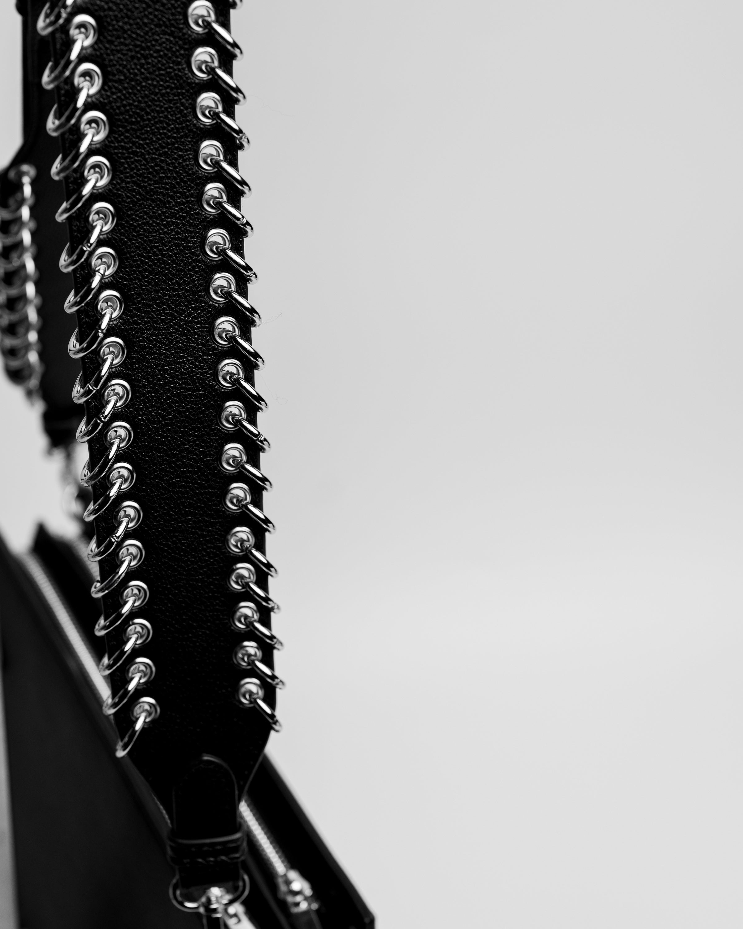 Orbis Bag in Dark Matter